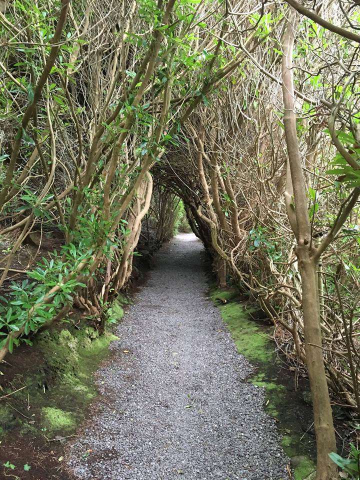 Carrig Country House & Restaurant Killorglin Bekvemmeligheter bilde